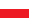 Polish Polish